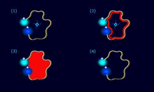 The Deep: Plankton Capture Detection